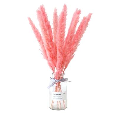 China Wholesale Home Wedding Home Decoration Decorative Artificial Pampas Grass Small for sale