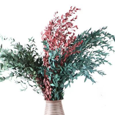 China Handcrafted Eucalyptus Grade A Natural Plant Preserved Eucalyptus Dry Leaves For Decoration for sale