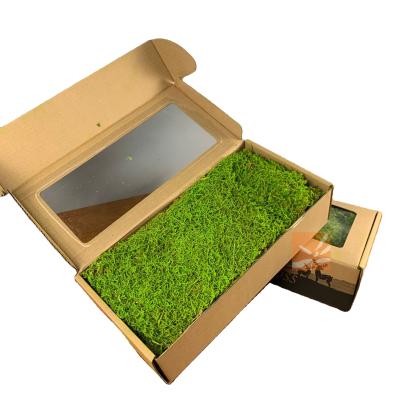 China Wall decoration factory supply real natural new crop flat moss preserved flat moss for wall decoration for sale