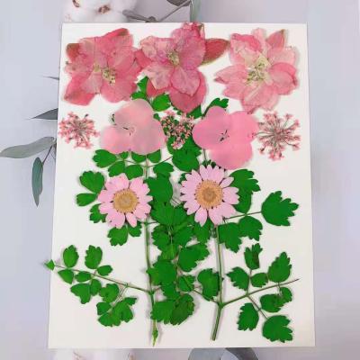 China Hand made makeup for girls nail decoration dry flower pressed flower composite embossing flower for sale