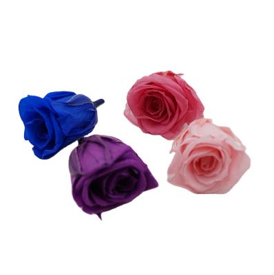 China Beautiful DIY Romantic Rose Head 3-4cm Preserved Layout Valentines Day Gift Designs for sale