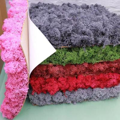 China Factory direct sale flower DIY moss panel handcrafted micro wall decoration hand made landscape everlasting preserved moss panel for sale