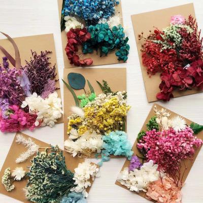 China Immortal flower hand made DIY preserved embossing bag material hand photo frame notebook mobile phone shell to drop flower embossing material for sale