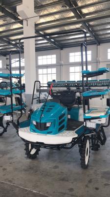 China 8-Row High Speed Riding Type Rice Transplanter for sale