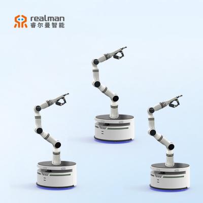 China New Realman Integrated Inspection Robot Battery Smart Auto Humanoid Service Robot Collaboration Server for sale