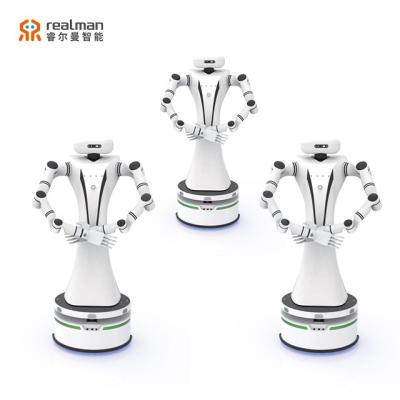 China New Realman Two Smart Humanoid Robot Arm Robot Collaboration Server With Six Or Seven DOF Service Robot AGV for sale