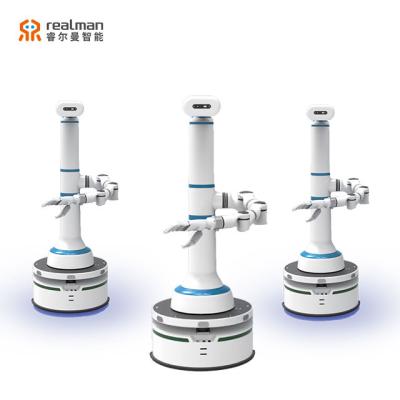 China Wifi Realman Single-Arm Hi Smart Robot For Elderly Service Robot Smart Server for sale