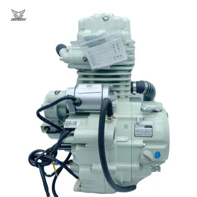 China OEM Motorcycle Engine Zongshen Weifeng 300cc Custom Water Cooled Zongshen 300cc Engine For Tricycle Cargo for sale