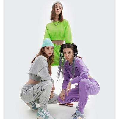 China Wholesale Manufacturer Breathable Apparel Ladies Two Pieces Set Long Sleeve Cropped Top Hoodie Women Plain Jogging Tracksuit Suit Set for sale