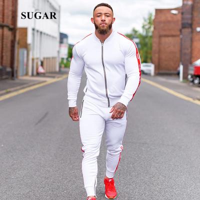 China SUGAR Custom Logo Men Tracksuit Zipper Stripe Pieces Set Sweatshirt Jacket+pants Gym Mens Fitness Sweat Suits Two Breathable Jackets for sale