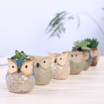 China Flowing Ceramic Owl Pot Succulent Plant Pot from Europe Amazon Supplier for Decoration for sale