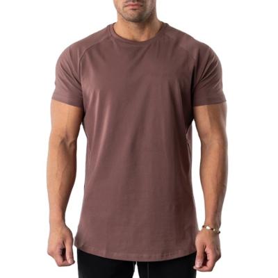 China Quick Dry Cotton 5% Elastane Anti-Wrinkle White Men's Breathable 95% Polyester Sport Fitness Fitted Gym T-shirt Men for sale