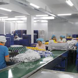 Verified China supplier - Shantou Tianle Food Co., Ltd.