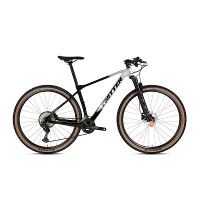 China Wholesale Price 29 Inch Disc Brake 29 Speed ​​Carbon Fiber Frame Bicycle Mountain Bike Carbon Fiber 12 Full Mtb Bikes for sale