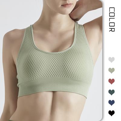 China Breathable High Quality Custom Logo Fitness Underwear Yoga Bra Top Padded Running Seamless Gym Bubble Green Sports Bra for sale