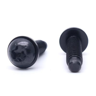 China Knob CNC Parts Electrophoresis Knob Black Head Dog Point Rotation Torx Screw With Gasket for sale