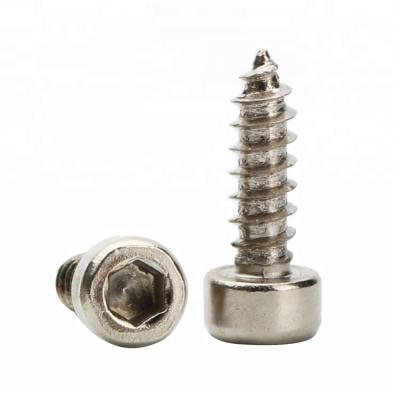 China Hexagon Head Socket Allen Head Cap Screw Cup Steel Self-tapping Screw for sale