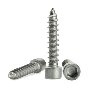 China Cap Factory Production SS304 316 Self Tapping Hex Head Screw for sale