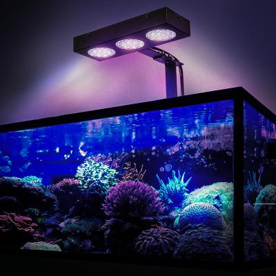 China Iron Case Coral Reef Light Dimmable Full Spectrum Sunrise Sunset LED Aquarium Light for Marine Fish Tanks Coral Reef Lamp for sale