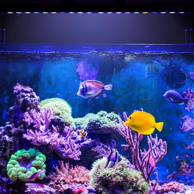 China 61Lm/W Full Spectrum 45W Chihiros Reef Led Aquarium Light Marine Ocean Light Coral Reef Tank Light for sale