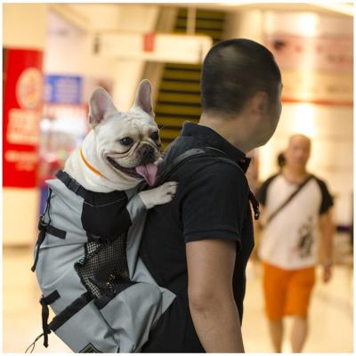 China Pet Stored Backpack For Front Ventilated Multifunction Adjustable Dog Pet Carrier Walking Rising Moving Backpack for sale