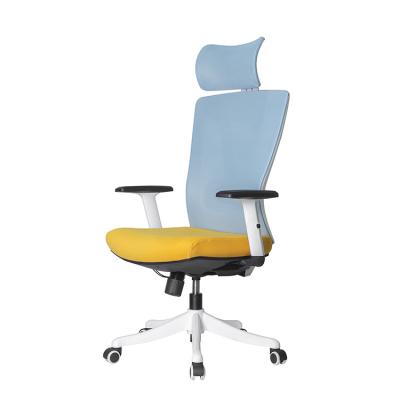 China 2022 New Design Ergonomic Back Multifunctional Office Chair (Height) High Adjustable for sale