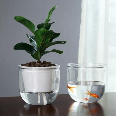 China ZGQ34 Eco-friendly transparent plastic green plant able to store water flower pot automatic water absorption small lazy flowerpot for sale