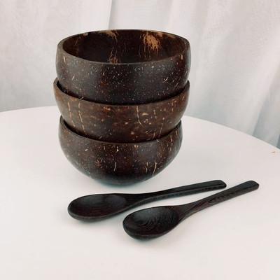 China CL262 Disposable Natural Wooden Coconut Bowl Spoon Set Fruit Salad Noodle Rice Bowl Tableware Set Creative Coconut Shell Bowl for sale