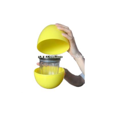 China pp plastic easter egg container/egg box for sale