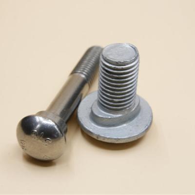 China Stainless Steel SS 316 D6h Bulldozer Neck Oval Track Bolt for sale