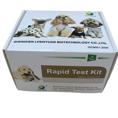 China Green Spring Feline Coronavirus (FCoV) antigen rapid test card 10T small packing  cat test kit en venta