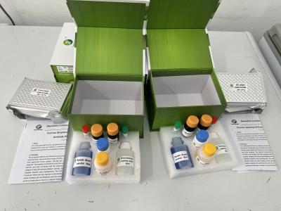 China Porcine FMDV Type A antibody ELISA Kit foot and mouth disease elisa test for sale