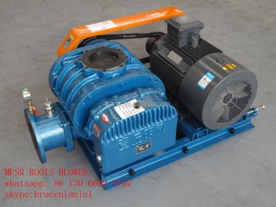 China Blower Roots Blower For Fish Ponds for sale