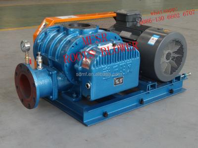 China MFSR-100 Industrial Fan Three - Lobe Positive Displacement Roots Fan Aerator for sale