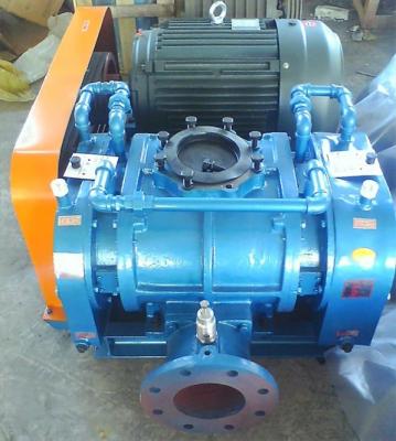 China Industrial Blower Positive Displacement Blower / Three Lobes Root Blower for sale