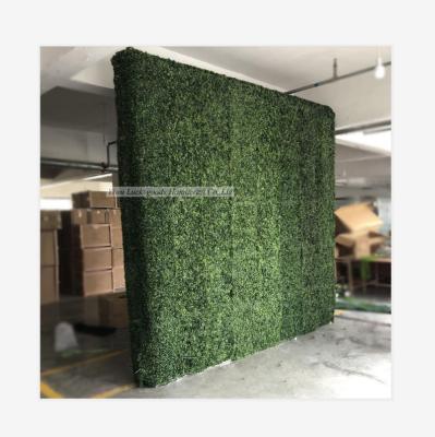 China Factory LFB1637 Green Grass Plastic Wall Plastic Plant Decoration Home Hotel Outdoor Wedding Background For Wholesale for sale