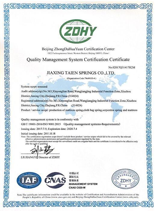 ISO9001-2008 quality management system - Jiaxing Taien Springs Co.,Ltd