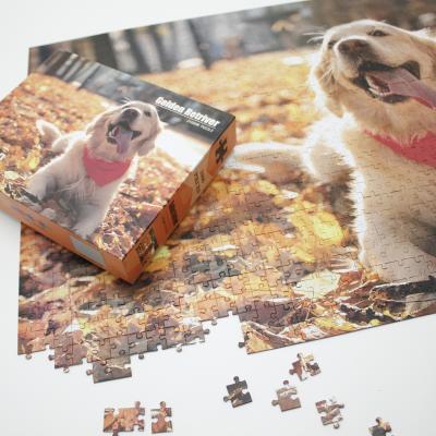 China Toy Custom Personalized Education Educational 500 Piece Animal Children Study Puzzle for sale