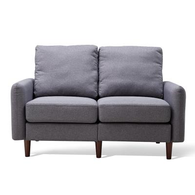 China Dropshipping Modern Living Room Sofas 2 Seat Gray Fabric Small Couch Sofa Loveseat Removable Cover for sale