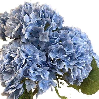 China Amazon Silk Success Hydrangea Wholesale High Quality Silk Artificial Single Flowers For Wedding Decoration Hydrangea Flower for sale