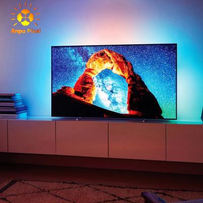 China LANDSCAPE ANPU Immersion TV LED Backlights with Camera Wi-Fi TV Backlights Works with Lights from Alexa Google Assistant App Control for sale