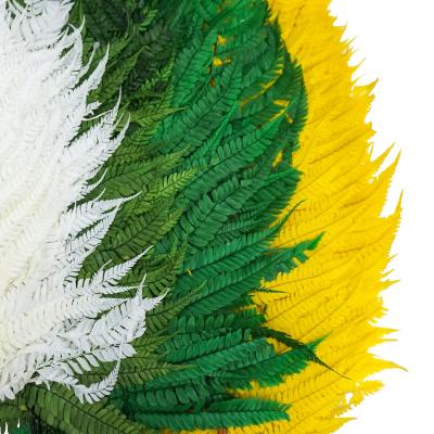 China Fern Leaf Colorful Decoration Dried Preserved Plants and Flowers Preserved Large JQ Fern Leaf for sale