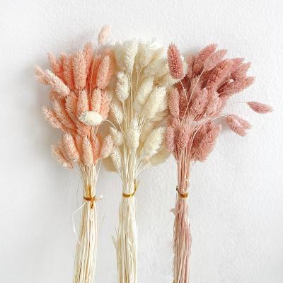 China Durable Real Touch Home Decor Dried Plants and Flowers Gem Grass Phalaris Bouquets for sale