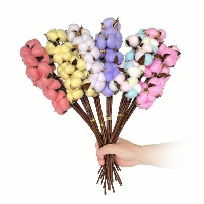 China Home Colorful Natural Cotton Flower Iron Dry Stem Wedding Party Shop Decoration Plants And Flowers for sale