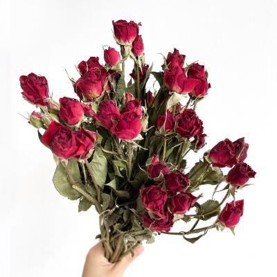 China Home Decoration Romantic Red Dried Mini Red Dried Roses Flower Wedding Flower Plants and Flowers for sale