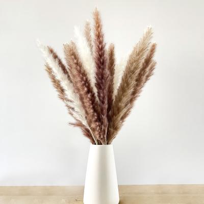 China Bohemian style home decor fluffy dry pampas grass bouquet plants and flowers shop decoration wedding party for sale