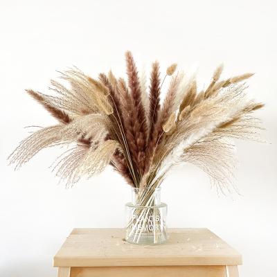 China Real Touch Natural Plants And Flowers DecorWedding Ball Decoration Natural Dry Home Pampas Grass for sale