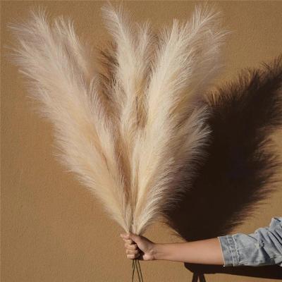 China Artificial Pampas Grass Europe Style Pampas Grass Faux Fluffy Artificial Pampas Grass For Wedding Home Background Decor for sale