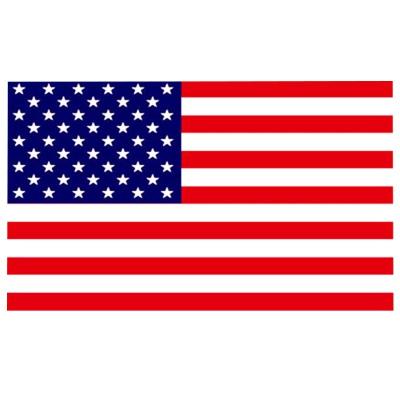 China Health Care Institutes Hot Sale Customized Wholesale Custom National American Country Flag Flag For Party Flags For Celebrate for sale