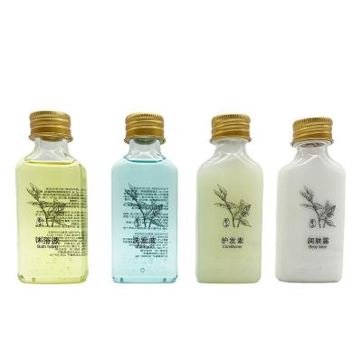 China 2022 New Design Daily Life Shampoo Body Wash Hotel Toiletries Set For Shampoo Travel Size for sale